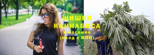 прущие грибы Абинск