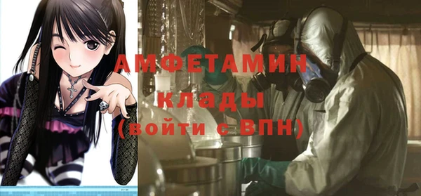 прущие грибы Абинск