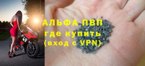 прущие грибы Абинск